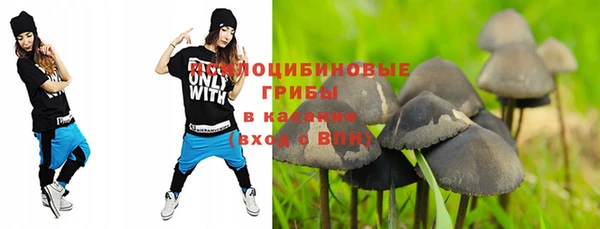 стафф Алексин