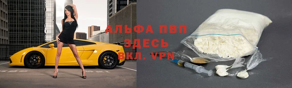 стафф Алексин