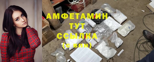 стафф Алексин