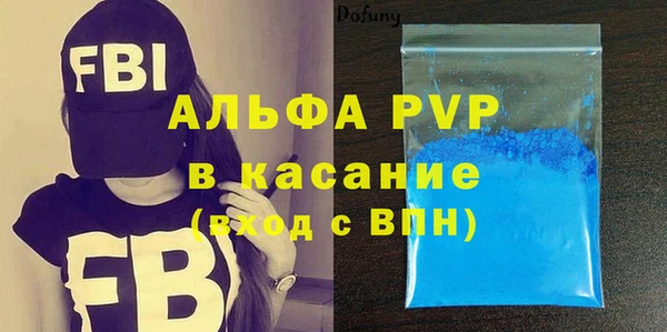 стафф Алексин