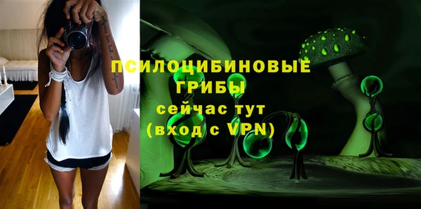 дживик Алексеевка