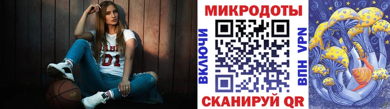 Галлюциногенные грибы Psilocybine cubensis  Динская 