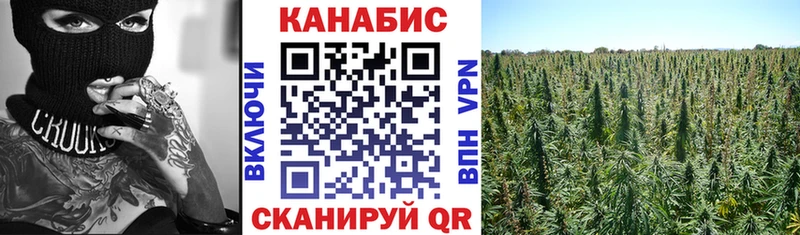 Каннабис Amnesia  Динская 